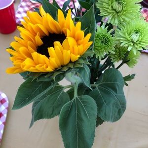 Meet your Posher, Rosa